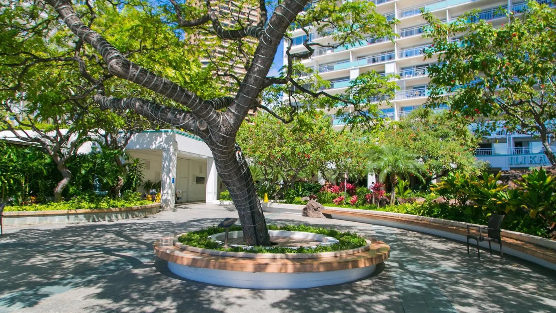 Ilikai Tower 642 Lagoon View 1Br Honolulu Apartmán